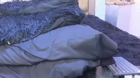 ximena online show from February 2025 03:34:02 AM