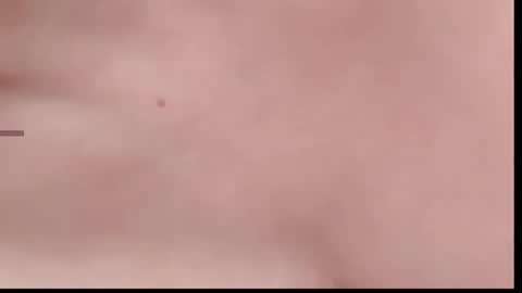 xinbao799322 online show from November 2025 02:05:01 PM