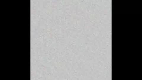 Snapshot of xjericodx chatting on February 2025 11:47:02 AM JSSD online show from February 2025 11:47:02 AM