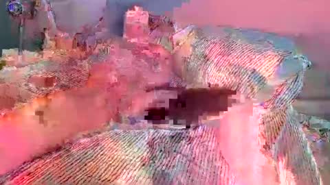 xmilestownsend online show from December 2024 06:38:02 PM