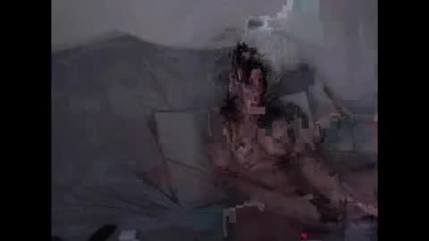 xopuss online show from November 2025 08:35:02 PM