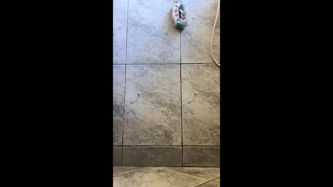 Snapshot of xviktorbr chatting on March 2026 04:56:01 PM xviktorbr online show from March 2026 04:56:01 PM