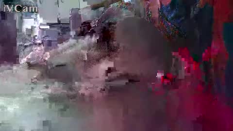 xxilikeassxx online show from February 2026 10:33:01 AM