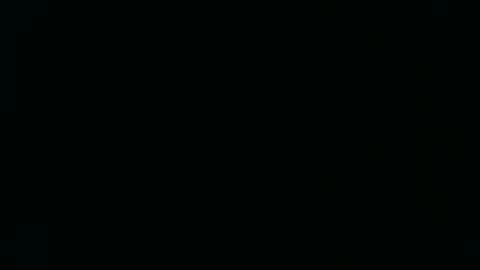 Kelsey online show from January 2026 10:32:01 AM