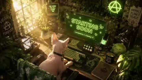Ray and Andy online show from July 2026 10:55:01 AM