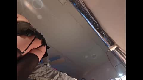 Xzbib online show from December 2024 06:35:02 PM