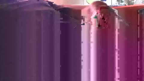 yangolox3 online show from October 2025 05:00:01 PM