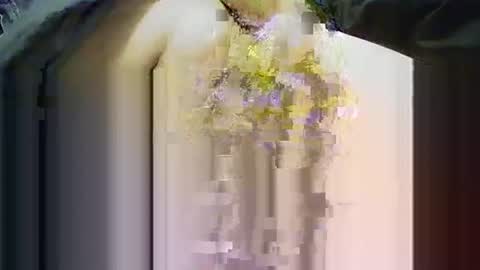 yangolox3 online show from November 2025 03:55:01 PM