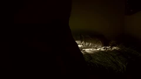 yaradeeyarama online show from February 2026 03:48:02 PM