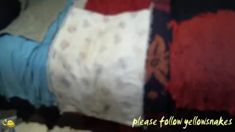 .     y e l l o w s n a k e s       . online show from November 2025 02:28:01 PM