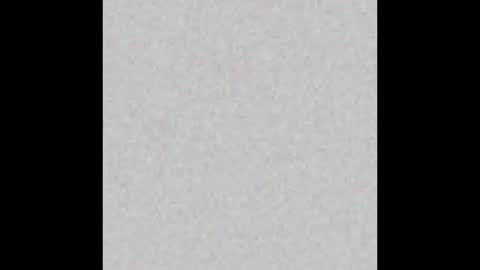 .     y e l l o w s n a k e s       . online show from March 2026 03:25:02 AM