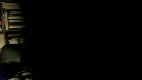 yessex247 online show from April 2026 01:52:02 AM