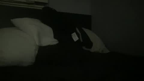 Snapshot of yessssdaddyyyy4 chatting on January 2025 08:52:01 AM yessssdaddyyyy4 online show from January 2025 08:52:01 AM