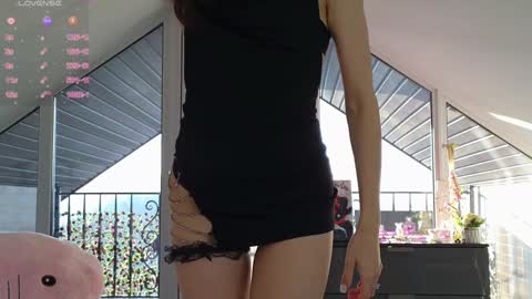  Wilma  online show from January 2025 01:19:02 PM