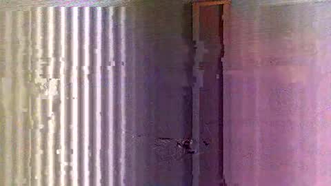 yorel64 online show from February 2025 06:10:02 PM