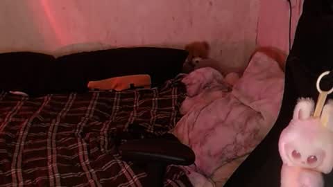 your_8a8y online show from November 2025 04:33:01 PM