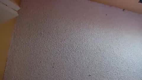 Sophiestar online show from March 2026 07:21:02 PM