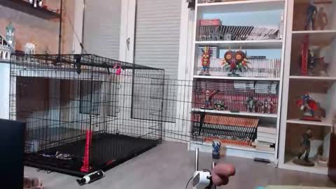 Owned by Hell On Heels online show from February 2026 07:10:01 PM