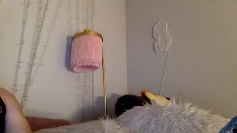 Alexandria online show from January 2025 01:13:02 PM