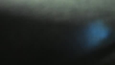 Evelline online show from January 2025 03:20:01 PM