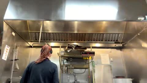 yourfavoriteshorty online show from March 2026 04:20:01 AM