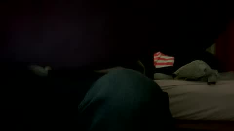 Big loads online show from January 2025 06:27:02 PM