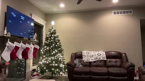 Snapshot of yourstrulylivy chatting on December 2024 01:26:01 AM yourstrulylivy online show from December 2024 01:26:01 AM