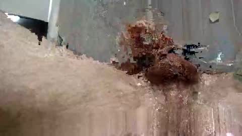 Snapshot of yourwishismypleasure1 chatting on November 2025 08:47:01 PM yourwishismypleasure1 online show from November 2025 08:47:01 PM