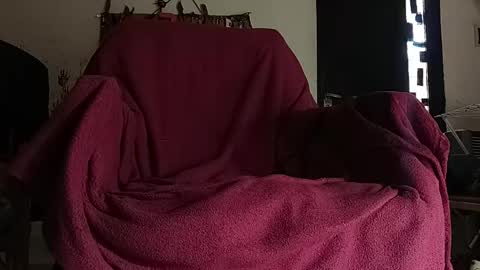 z_y_ro online show from April 2026 11:46:02 AM