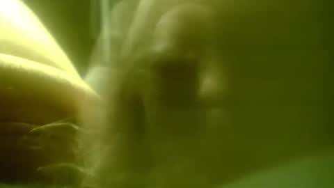 Snapshot of zaboski4 chatting on February 2026 07:40:01 AM zaboski4 online show from February 2026 07:40:01 AM