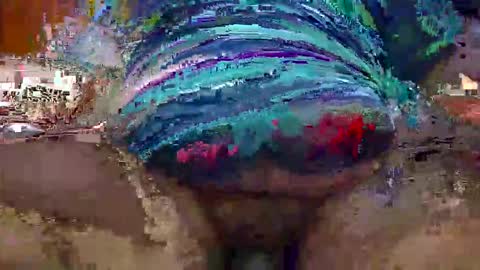 Zack online show from January 2026 04:29:01 AM