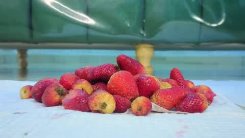 Isabella online show from March 2026 12:49:01 PM