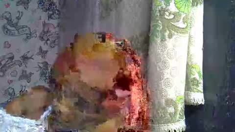 zarinamarlin online show from March 2026 09:12:02 AM