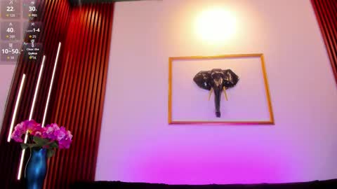  Zayda  online show from February 2026 08:30:01 PM