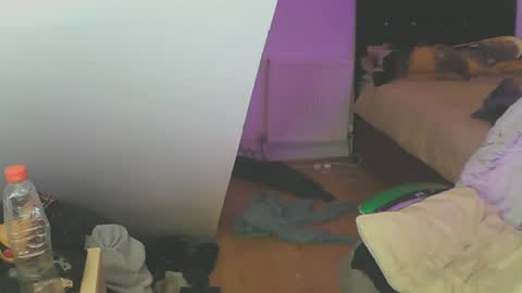 Zed online show from December 2024 05:18:02 PM