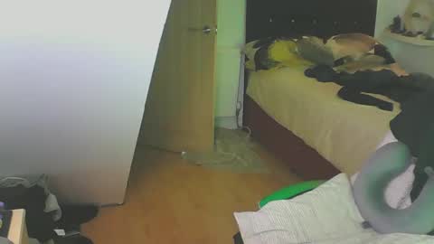 Zed online show from December 2024 04:09:02 PM