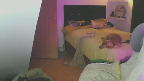 Zed online show from January 2025 06:10:02 PM