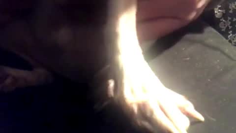 Snapshot of zeroandhero chatting on March 2025 08:13:01 AM zero online show from March 2025 08:13:01 AM