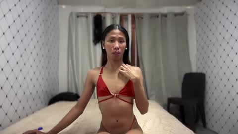 Zinnia nics online show from November 2025 06:57:02 AM