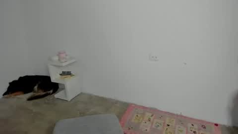 Zoe online show from April 2026 09:17:02 PM