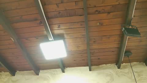 zoley  online show from October 2025 03:04:01 AM