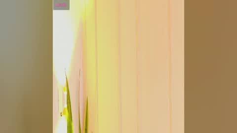 Zara online show from July 2026 07:22:02 PM