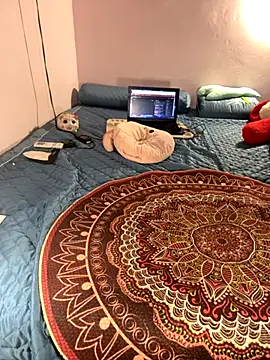 Hoa Bimup online show from September 2025 10:26:01 PM