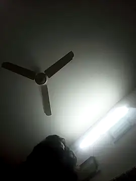 Rupok dulavai online show from December 2024 07:27:02 PM