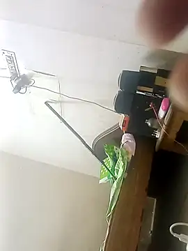 Rupok dulavai online show from October 2025 05:24:01 AM