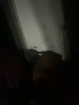 Snapshot of punhetaba chatting on February 2026 03:48:02 AM punhetaba online show from February 2026 03:48:02 AM