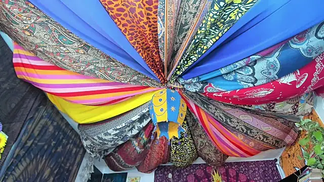 Snapshot of ElizaGrey_ chatting on February 2025 03:40:01 PM ElizaGrey online show from February 2025 03:40:01 PM