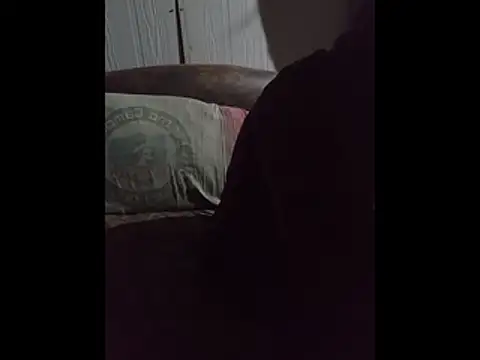 pauloandres online show from May 2026 09:29:02 AM