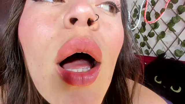 Snapshot of _kalypso_ chatting on February 2026 05:44:01 PM kalypso online show from February 2026 05:44:01 PM