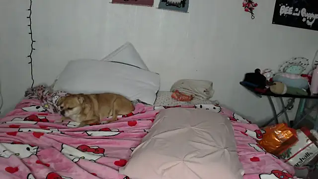 Cupcakecutie449 online show from February 2026 04:19:02 PM